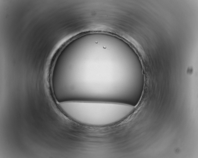 X0000102831120200808181043