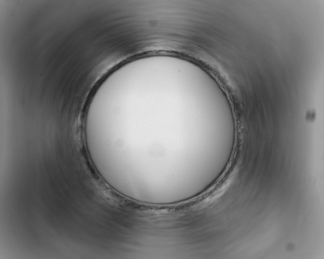 X0000102831121200808181043