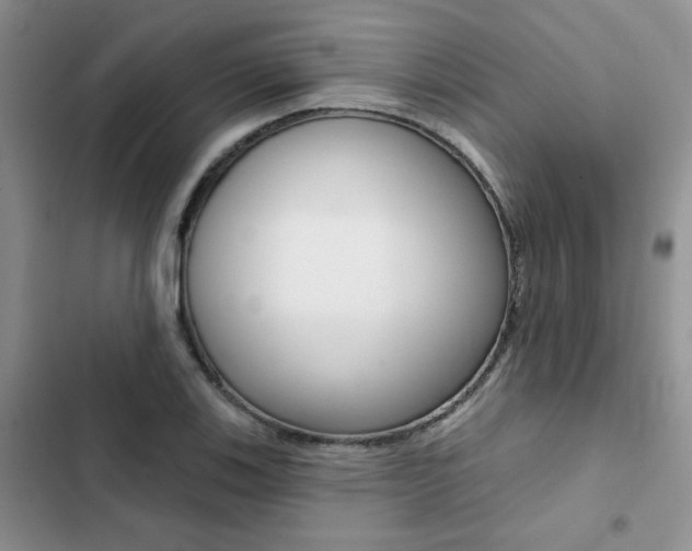 X0000102831123200808181043