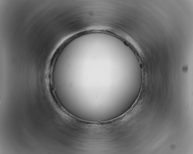 X0000102831124200808181043