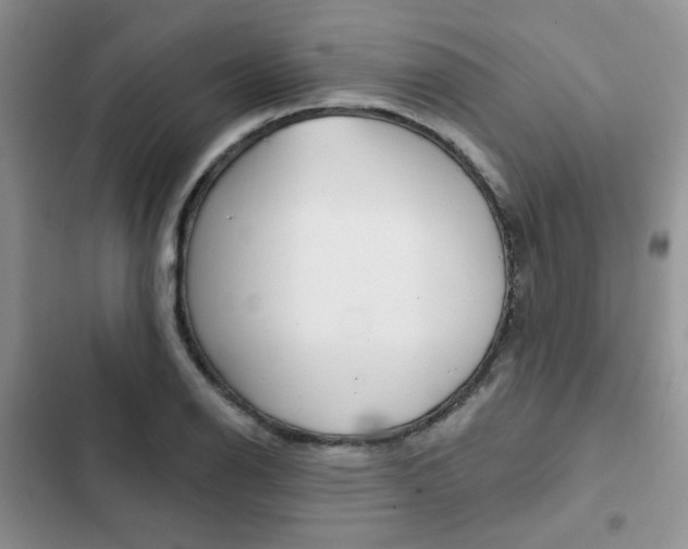 X0000102831126200808181043