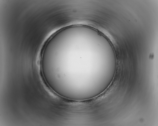 X0000102831127200808181043