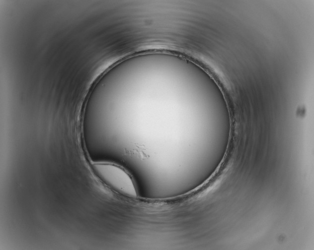 X0000102831129200808181043