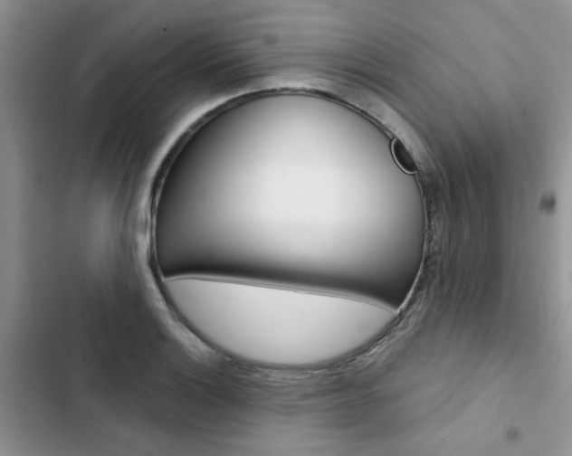 X0000102831132200808181043