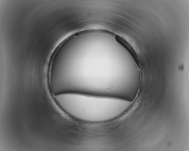 X0000102831134200808181043