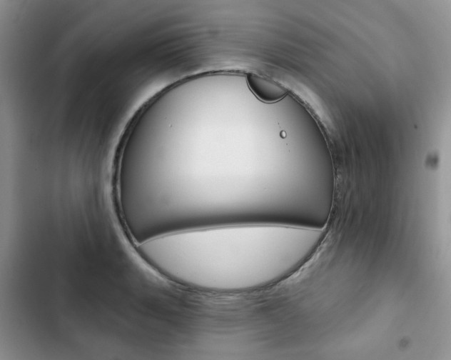 X0000102831135200808181043