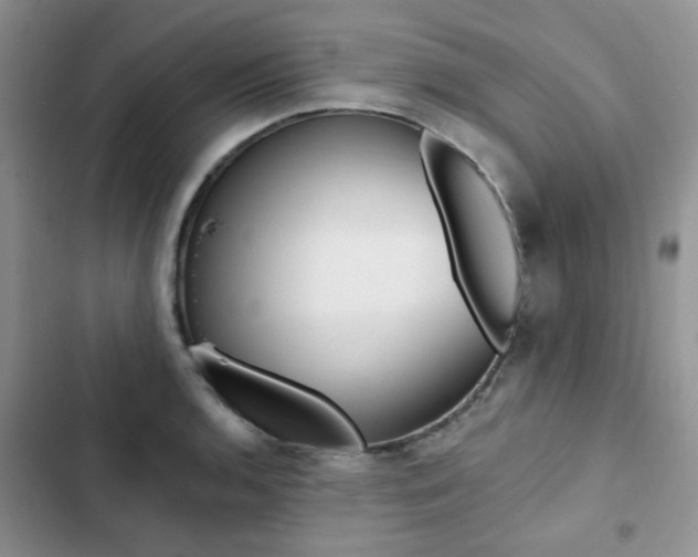 X0000102831136200808181043