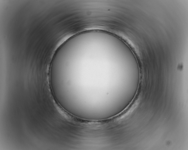 X0000102831137200808181043