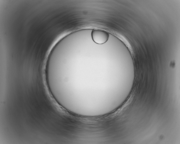 X0000102831138200808181043