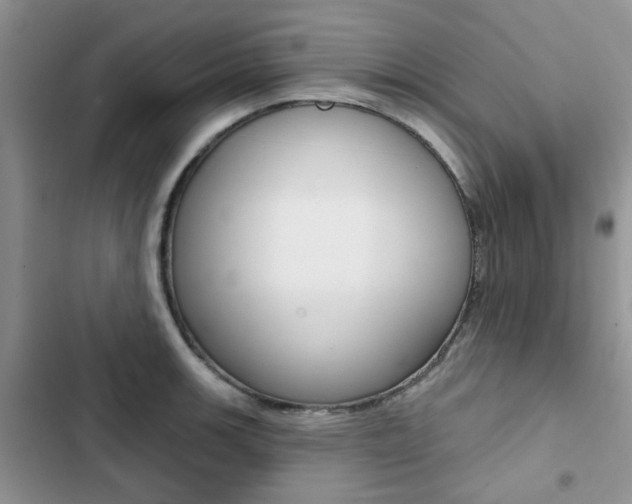X0000102831139200808181043