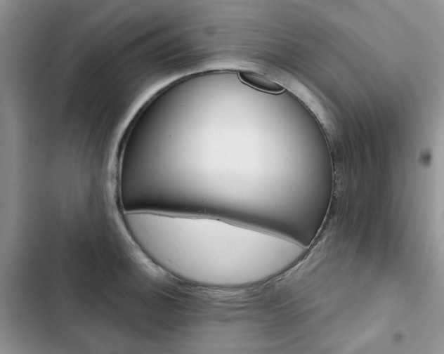 X0000102831140200808181043