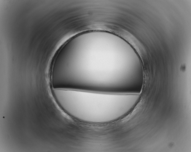 X0000102831141200808181043