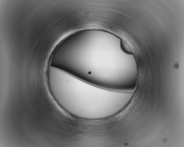 X0000102831142200808181043