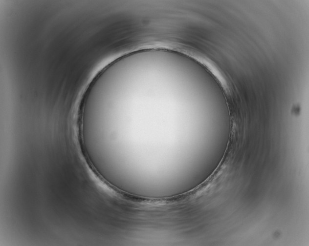 X0000102831143200808181043
