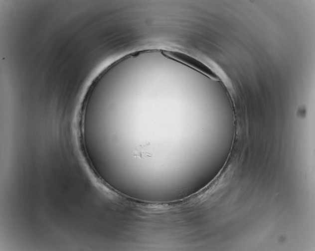 X0000102831144200808181043