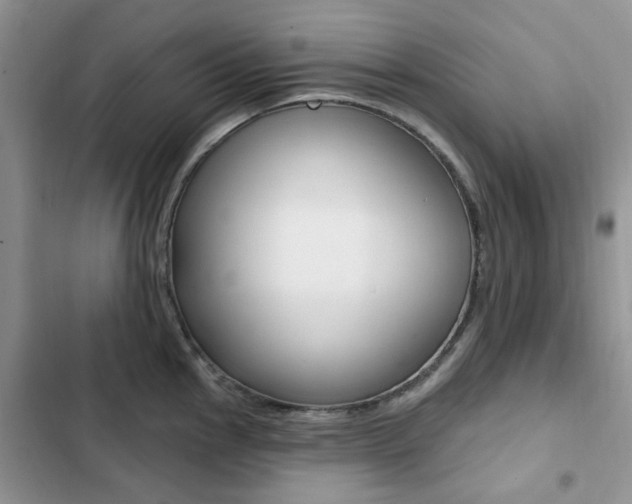 X0000102831145200808181043
