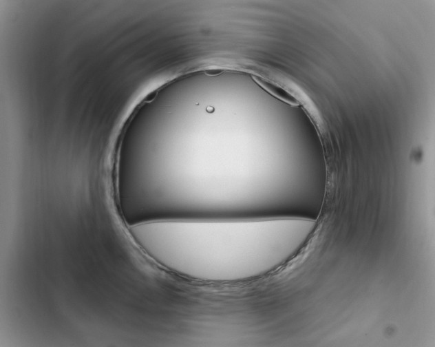 X0000102831146200808181043