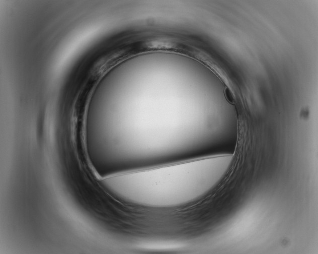 X0000102831151200808181043