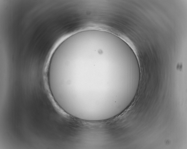 X0000102831152200808181043