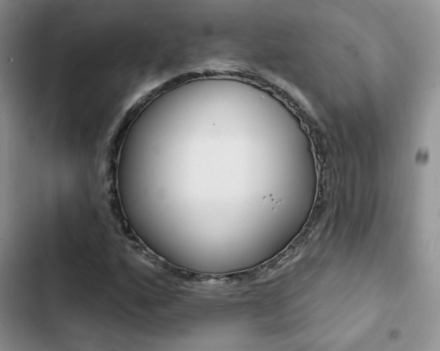 X0000102831160200808181042