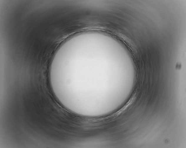 X0000102831161200808181042
