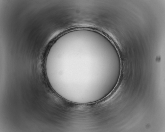 X0000102831163200808181042