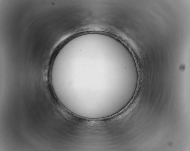 X0000102831166200808181042