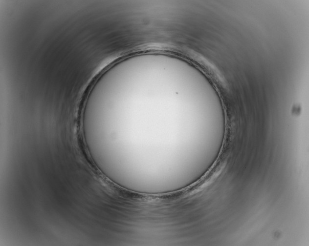 X0000102831170200808181042