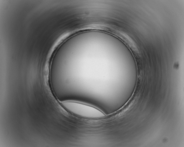 X0000102831180200808181042