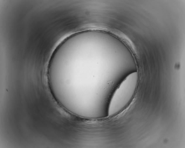 X0000102831182200808181042