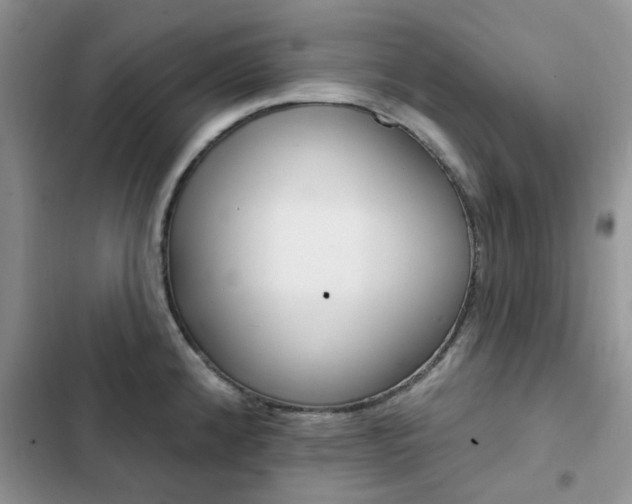 X0000102831192200808181042