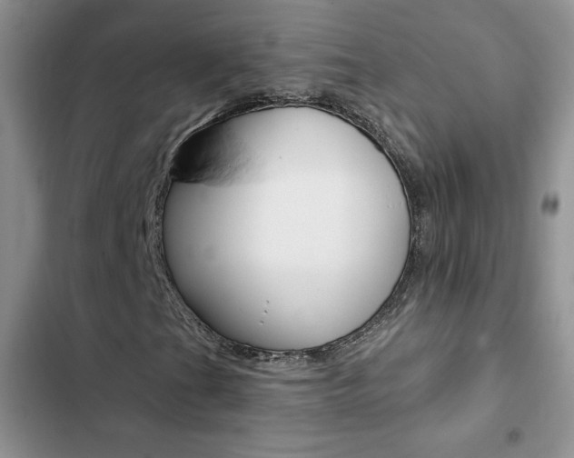 X0000102831201200808181041