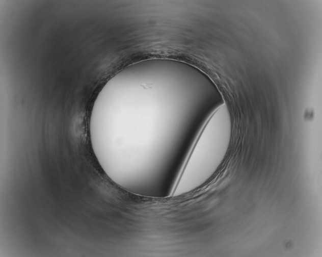 X0000102831202200808181041