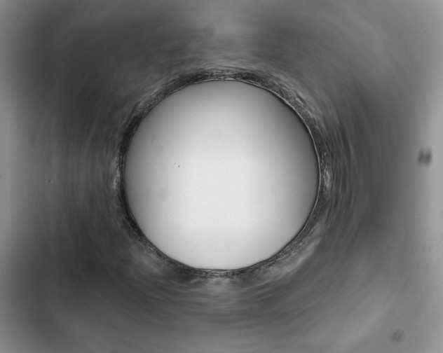 X0000102831204200808181041