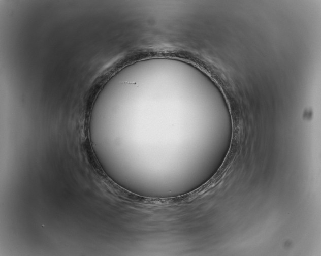 X0000102831205200808181041