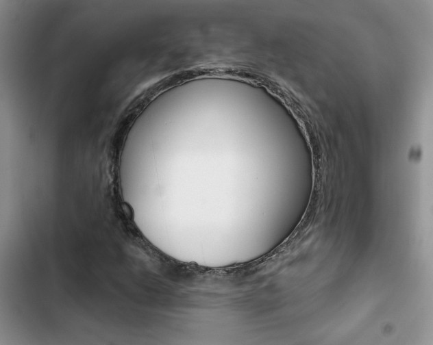 X0000102831206200808181041