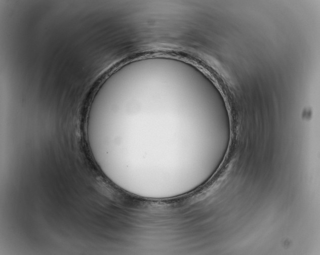 X0000102831209200808181041