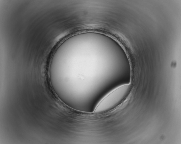X0000102831210200808181041