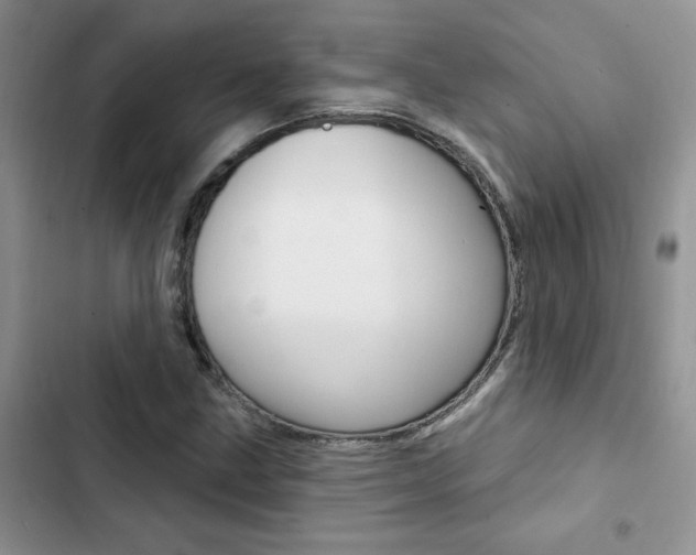 X0000102831211200808181041