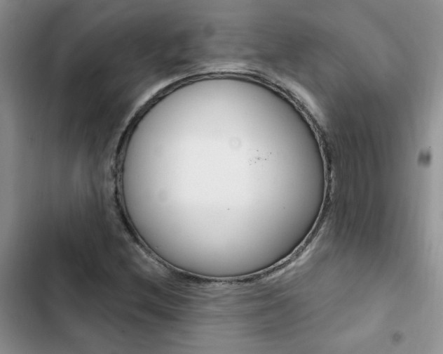 X0000102831212200808181041