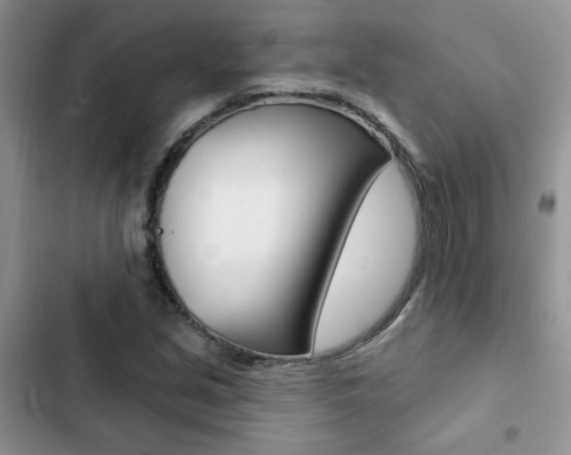 X0000102831213200808181041
