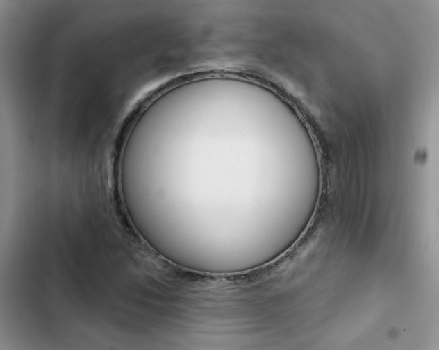 X0000102831214200808181041
