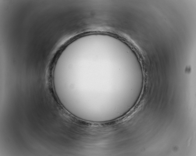 X0000102831215200808181041
