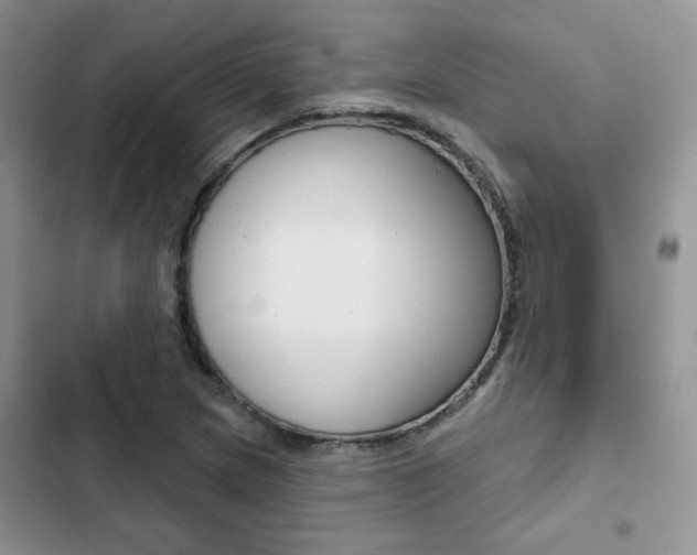 X0000102831217200808181041