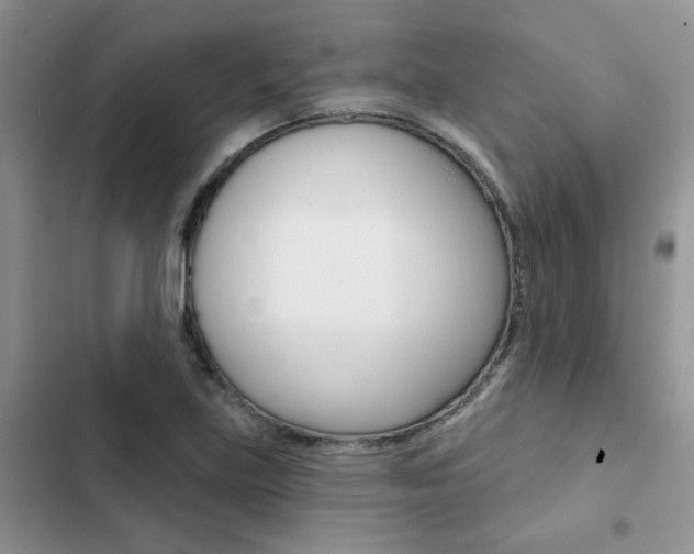 X0000102831219200808181041