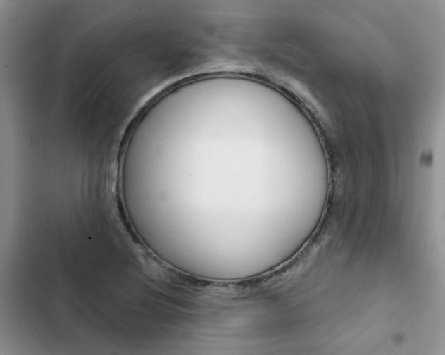 X0000102831220200808181041