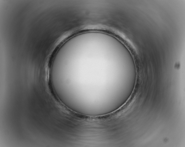 X0000102831221200808181041