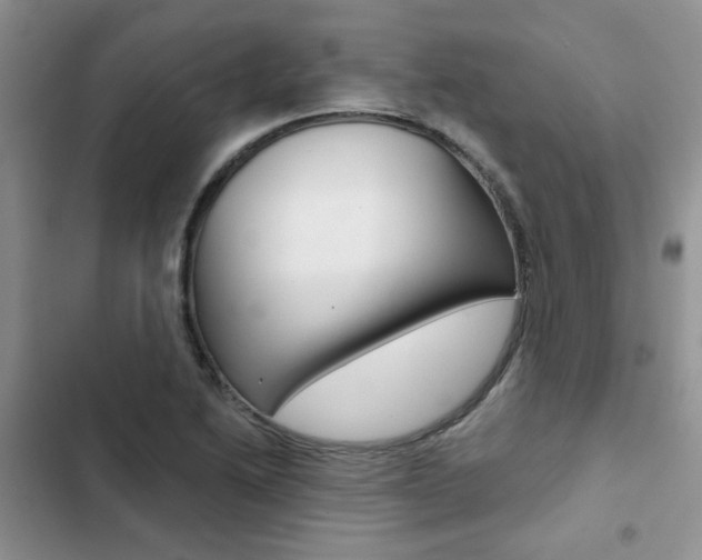 X0000102831222200808181041