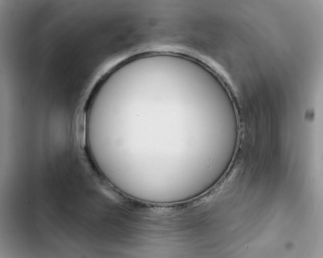 X0000102831223200808181041