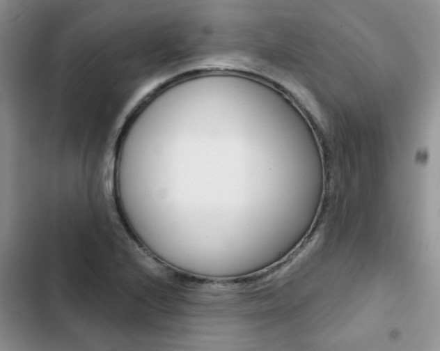 X0000102831224200808181041